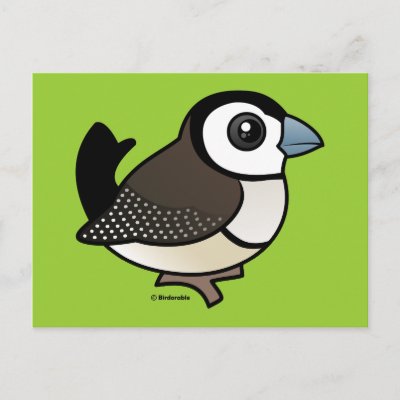 Double-barred Finch Postcard