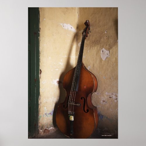 Double Bass 2 Poster