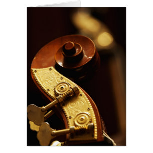 Double bass headstock 2 cards