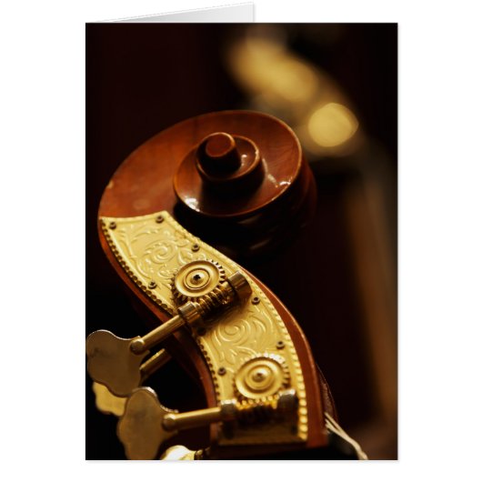 Double bass headstock 2 cards (Front)