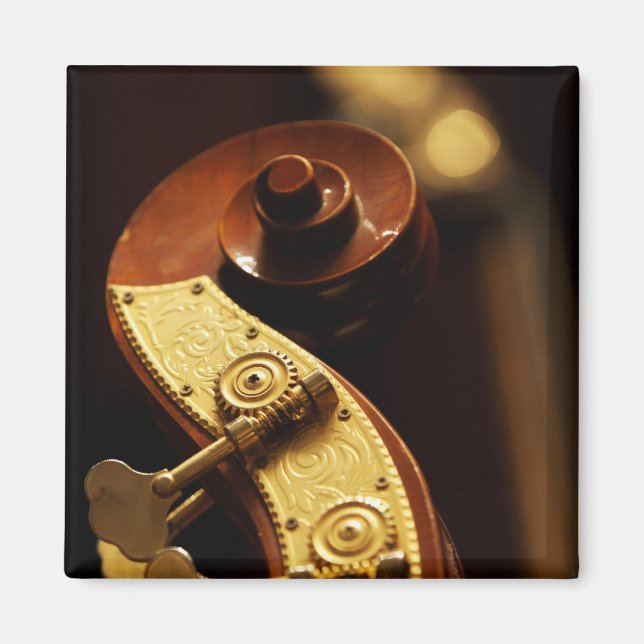 Double bass headstock 2 magnet (Front)