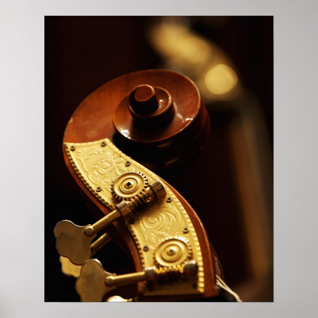 Double bass headstock 2 poster (Front)