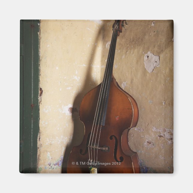 Double Bass Magnet (Front)