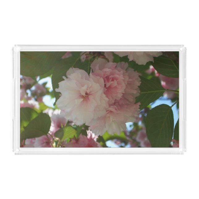 Double Blossoming Cherry Tree I Spring Floral Acrylic Tray (Front)