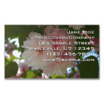 Double Blossoming Cherry Tree I Spring Floral Business Card Magnet