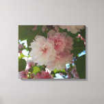 Double Blossoming Cherry Tree I Spring Floral Canvas Print