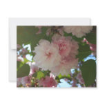 Double Blossoming Cherry Tree I Spring Floral Card