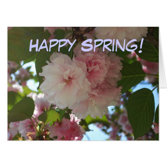 Double Blossoming Cherry Tree I Spring Floral Card (Front Horizontal)