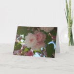 Double Blossoming Cherry Tree I Spring Floral Card