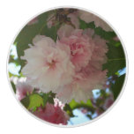 Double Blossoming Cherry Tree I Spring Floral Ceramic Knob