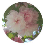 Double Blossoming Cherry Tree I Spring Floral Classic Round Sticker