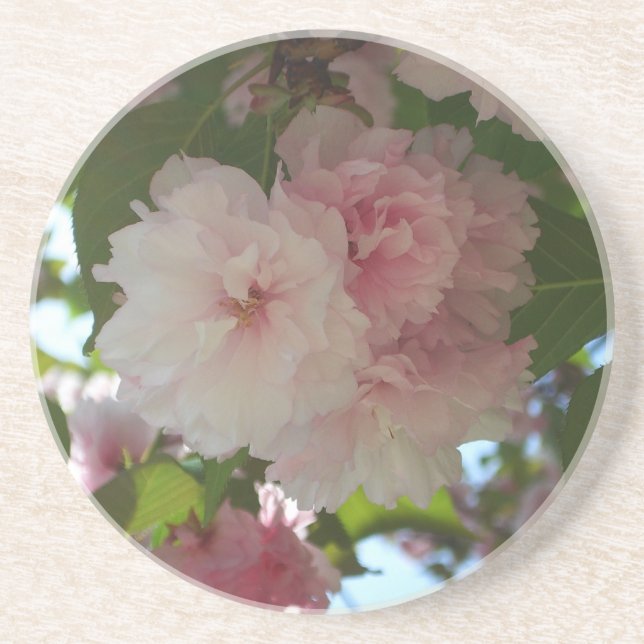 Double Blossoming Cherry Tree I Spring Floral Drink Coaster (Front)