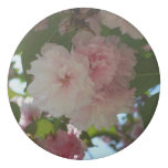 Double Blossoming Cherry Tree I Spring Floral Eraser