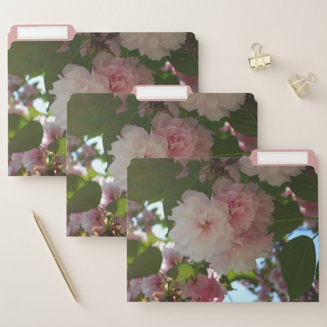 Double Blossoming Cherry Tree I Spring Floral File Folder (Set)