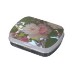 Double Blossoming Cherry Tree I Spring Floral Jelly Belly Candy Tin