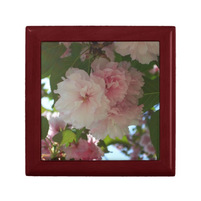 Double Blossoming Cherry Tree I Spring Floral Jewelry Box (Front)