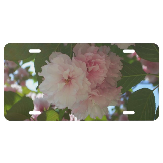 Double Blossoming Cherry Tree I Spring Floral License Plate (Front)