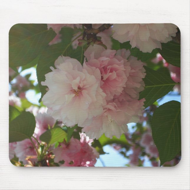 Double Blossoming Cherry Tree I Spring Floral Mouse Pad (Front)