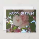 Double Blossoming Cherry Tree I Spring Floral Note Card