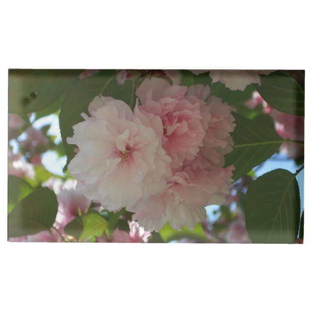 Double Blossoming Cherry Tree I Spring Floral Place Card Holder (Front)
