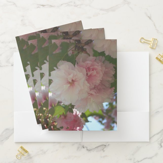 Double Blossoming Cherry Tree I Spring Floral Pocket Folder (In Situ)