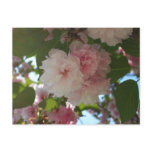 Double Blossoming Cherry Tree I Spring Floral Postcard