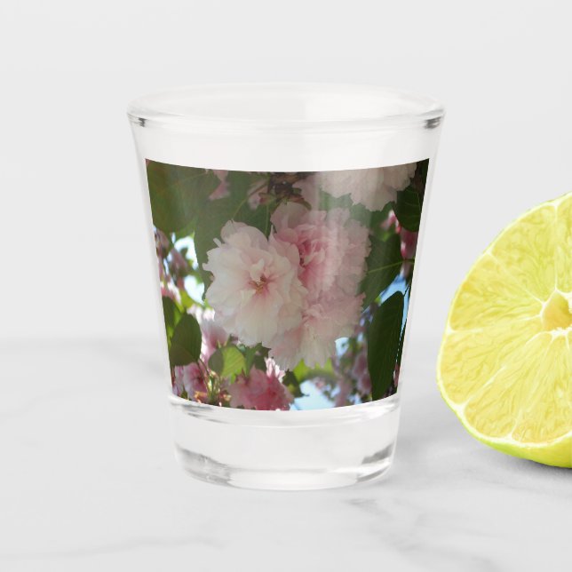 Double Blossoming Cherry Tree I Spring Floral Shot Glass (Front)
