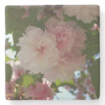 Double Blossoming Cherry Tree I Spring Floral Stone Coaster