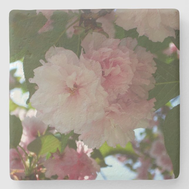 Double Blossoming Cherry Tree I Spring Floral Stone Coaster (Front)