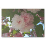 Double Blossoming Cherry Tree I Spring Floral Tissue Paper