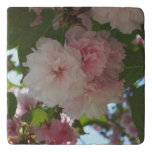 Double Blossoming Cherry Tree I Spring Floral Trivet