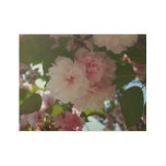 Double Blossoming Cherry Tree I Spring Floral Wood Poster