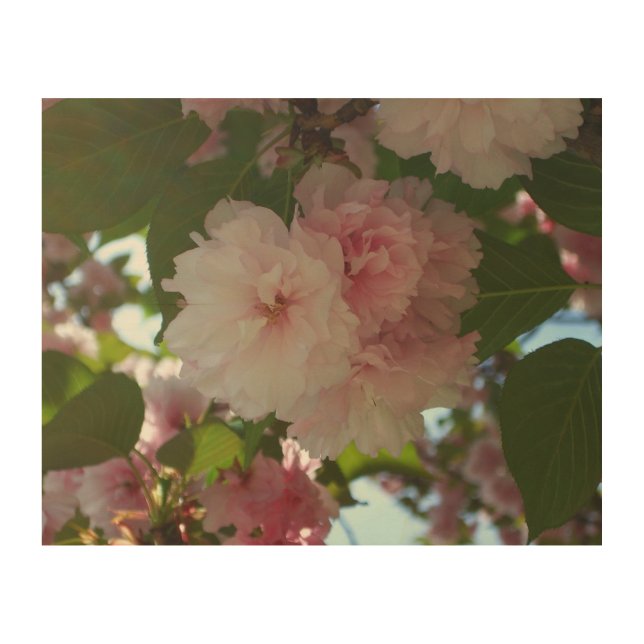 Double Blossoming Cherry Tree I Spring Floral Wood Wall Art (Front)
