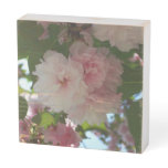 Double Blossoming Cherry Tree I Spring Floral Wooden Box Sign
