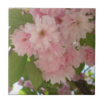 Double Blossoming Cherry Tree II Spring Floral Ceramic Tile