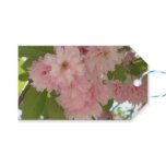 Double Blossoming Cherry Tree II Spring Floral Gift Tags