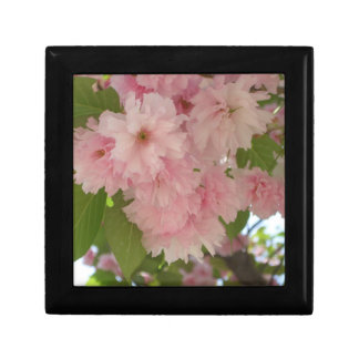 Double Blossoming Cherry Tree II Spring Floral Jewelry Box