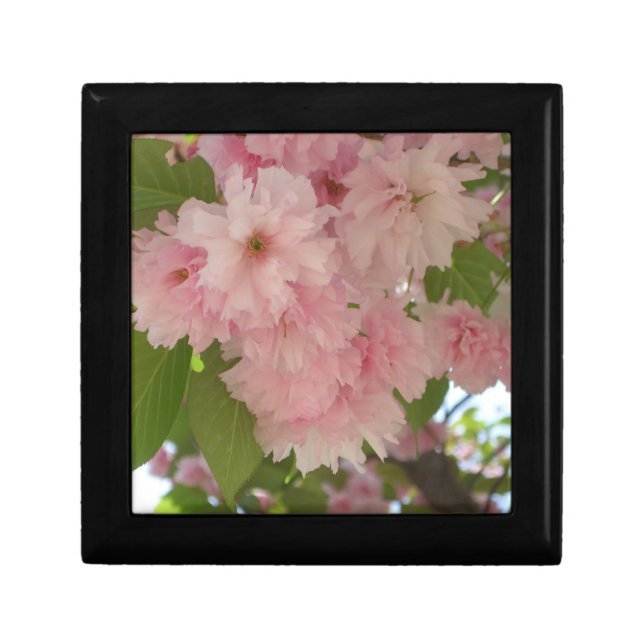 Double Blossoming Cherry Tree II Spring Floral Jewelry Box (Front)
