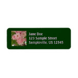 Double Blossoming Cherry Tree II Spring Floral Label