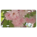 Double Blossoming Cherry Tree II Spring Floral License Plate