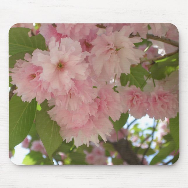 Double Blossoming Cherry Tree II Spring Floral Mouse Pad (Front)