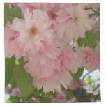 Double Blossoming Cherry Tree II Spring Floral Napkin