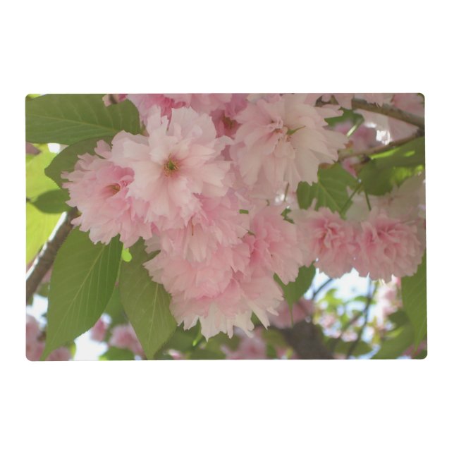 Double Blossoming Cherry Tree II Spring Floral Placemat (Front)