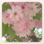 Double Blossoming Cherry Tree II Spring Floral Square Paper Coaster