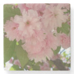 Double Blossoming Cherry Tree II Spring Floral Stone Coaster