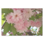 Double Blossoming Cherry Tree II Spring Floral Tissue Paper