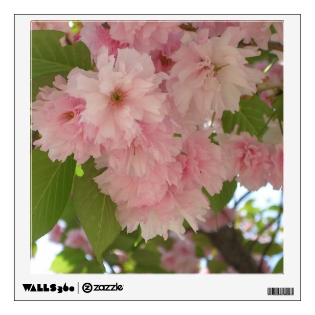 Double Blossoming Cherry Tree II Spring Floral Wall Sticker (Front)
