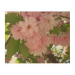Double Blossoming Cherry Tree II Spring Floral Wood Wall Art