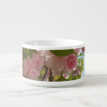 Double Blossoming Cherry Tree III Spring Floral Bowl