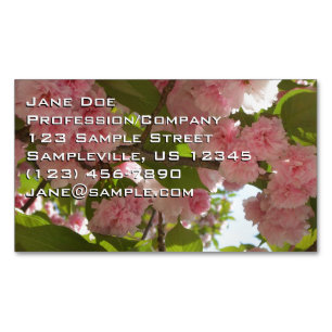 Double Blossoming Cherry Tree III Spring Floral Business Card Magnet